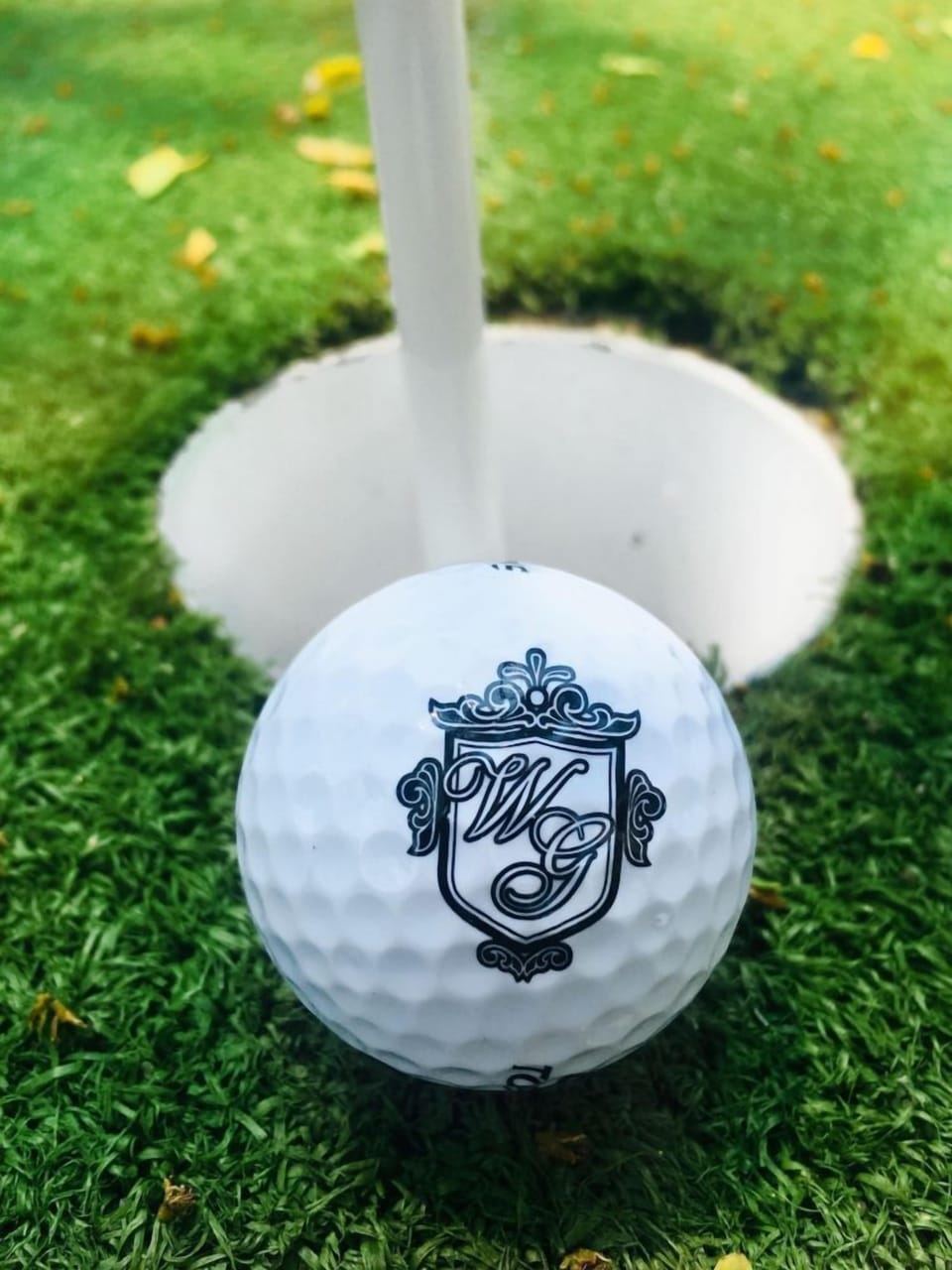 Mini golf