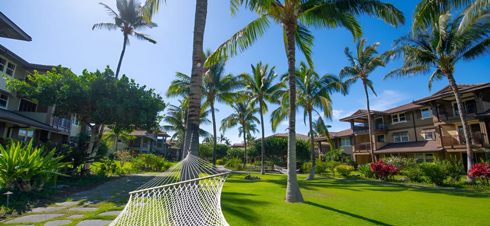 Sway gently in the hammock amid vibrant tropical gardens.