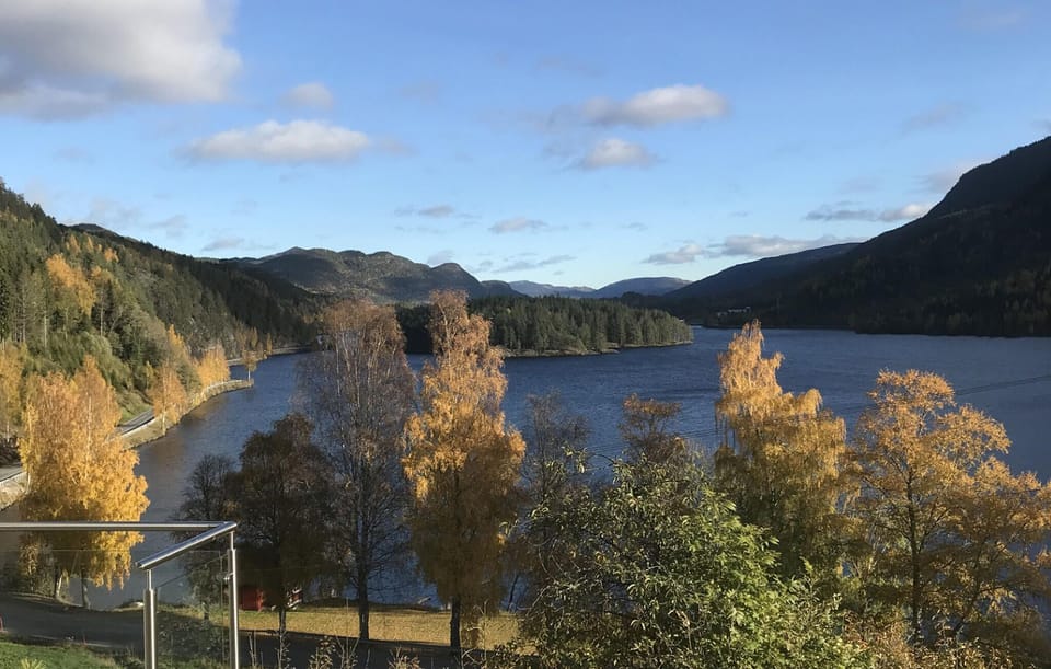 view-from-room