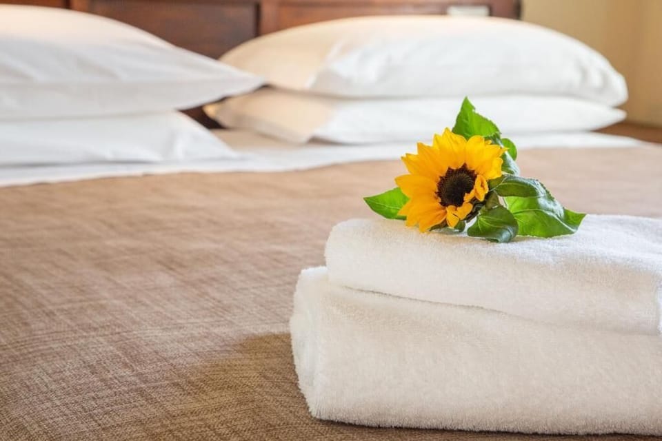Superior Double Room | Free WiFi, wheelchair access