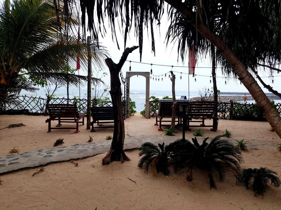 Winter | Terrace/patio