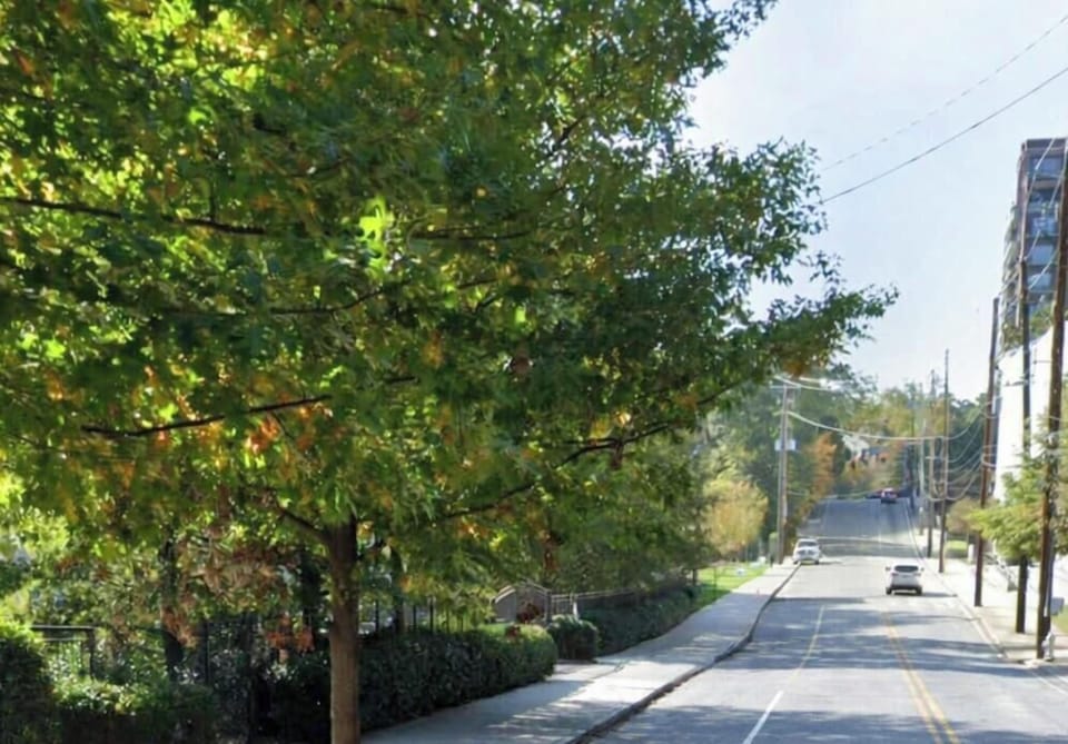 Street view. Plenty of greenery
