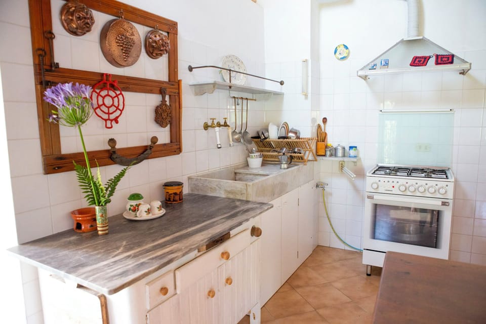 Full-size fridge, oven, stovetop, cookware/dishes/utensils