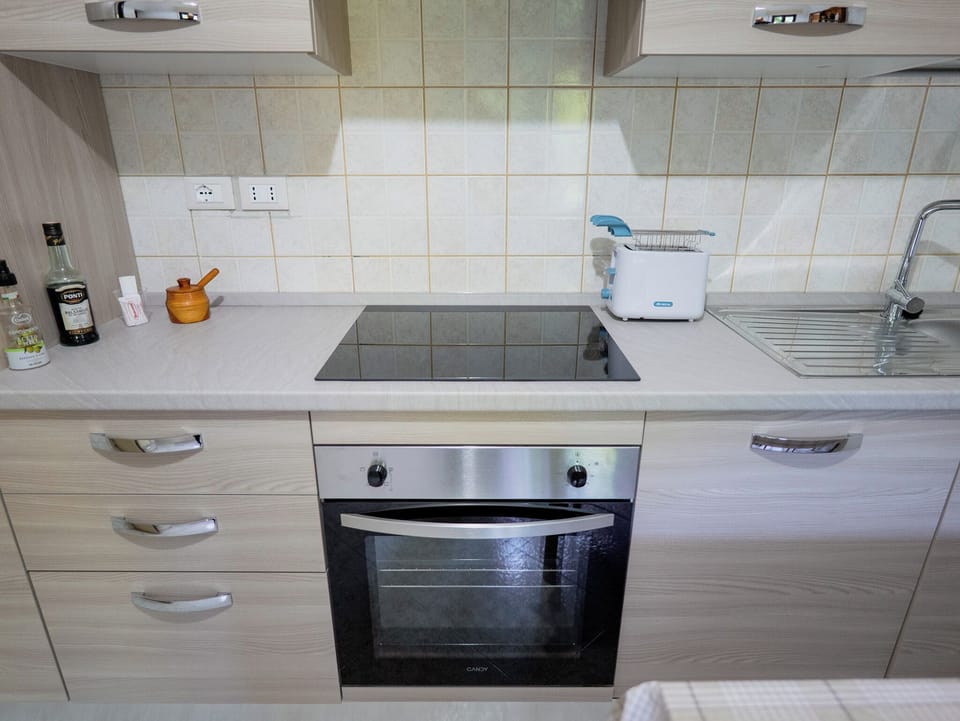 Full-size fridge, microwave, oven, stovetop