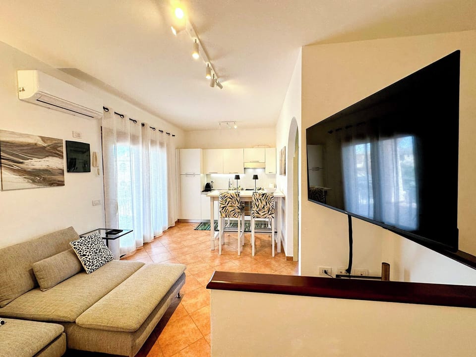 Flat-screen TV