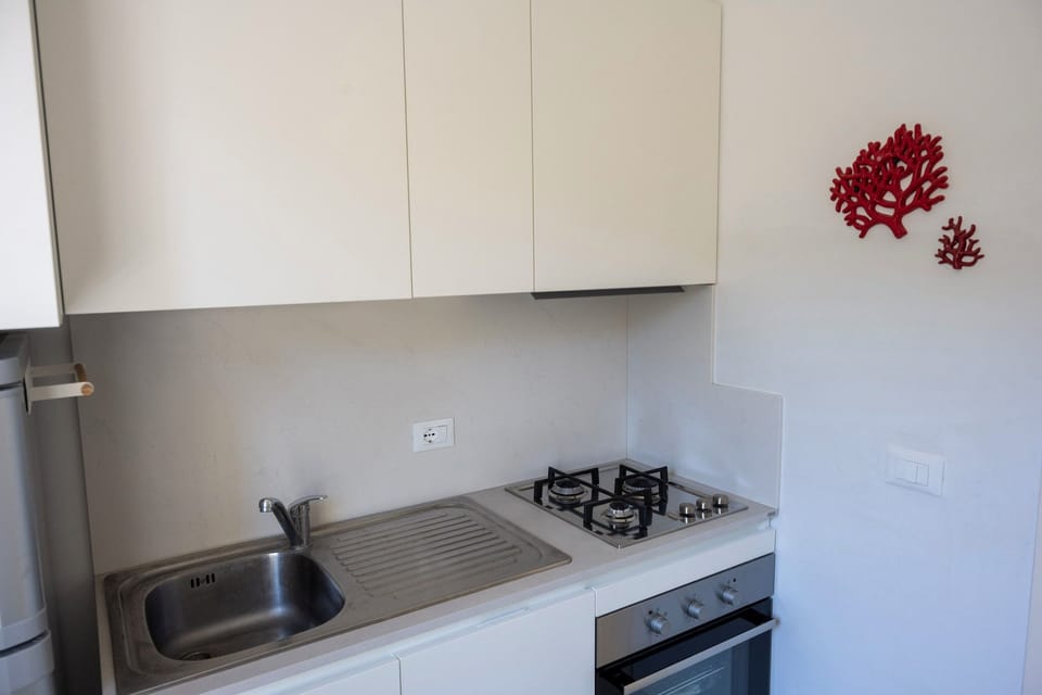 Full-size fridge, microwave, oven, stovetop