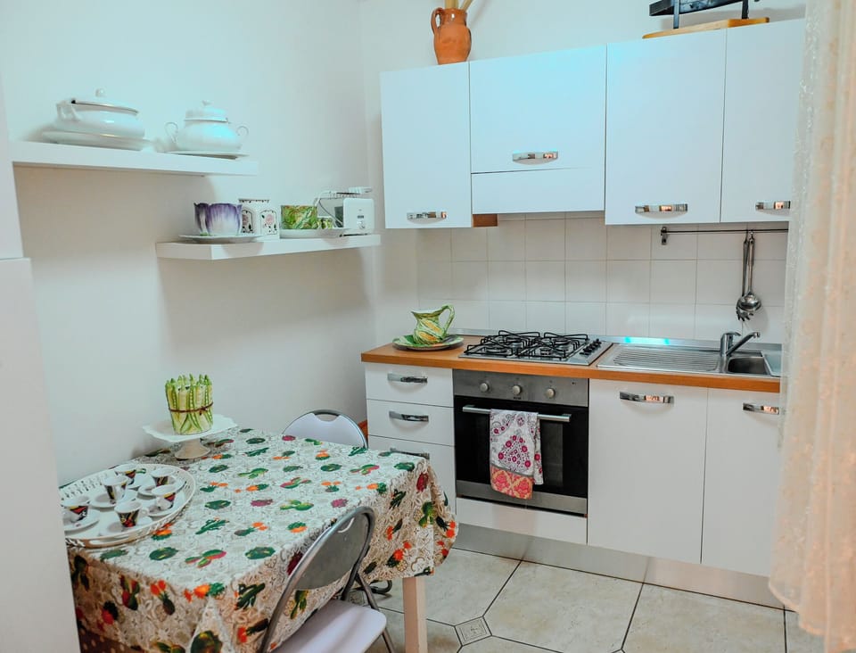 Full-size fridge, microwave, oven, stovetop