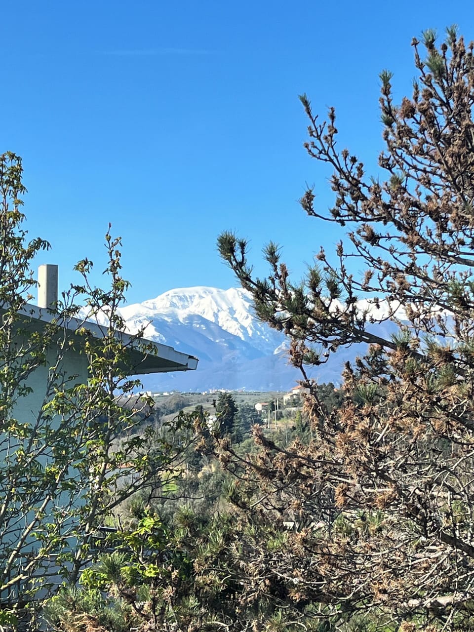 View from property