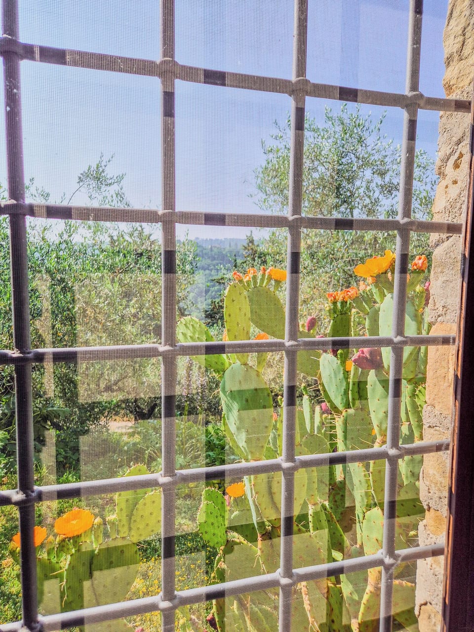 Land view from property