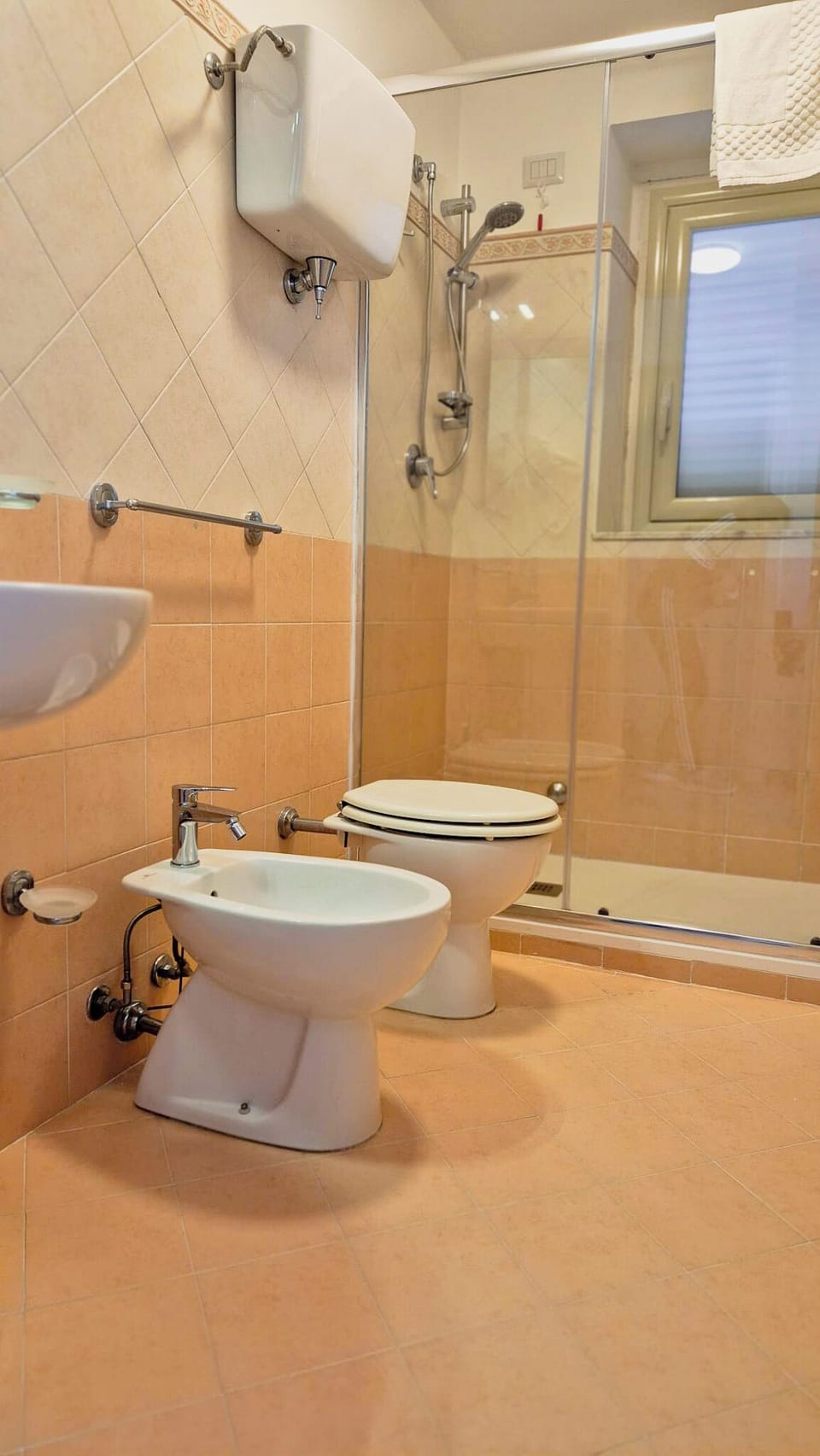 Hair dryer, bidet, towels