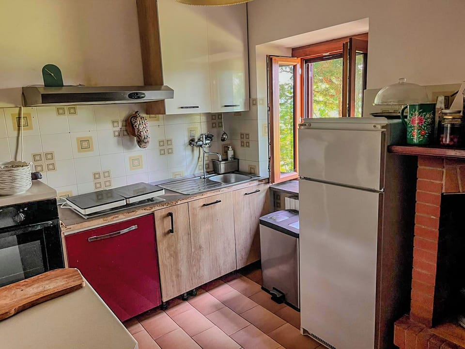 Deluxe Apartment | Private kitchen | Fridge, oven, stovetop, dishwasher