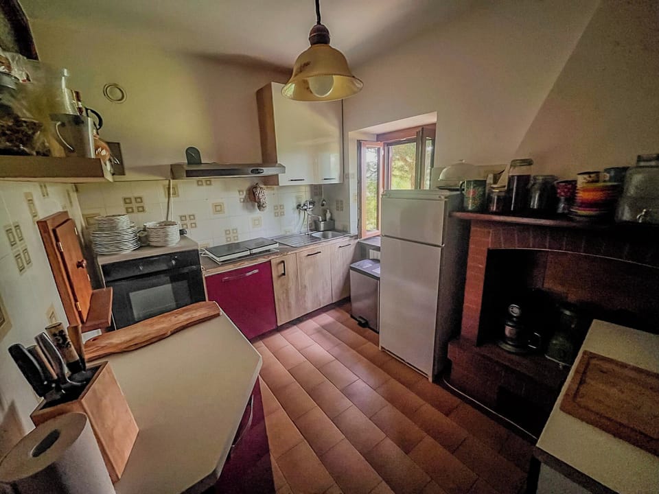 Deluxe Apartment | Private kitchen | Fridge, oven, stovetop, dishwasher