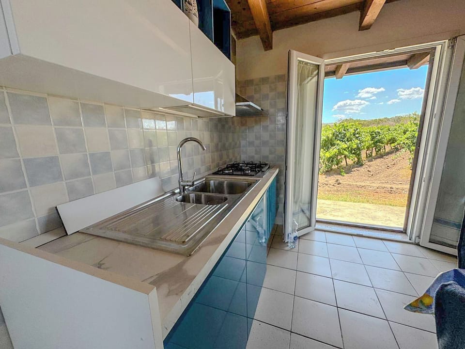 Full-size fridge, oven, stovetop, dishwasher