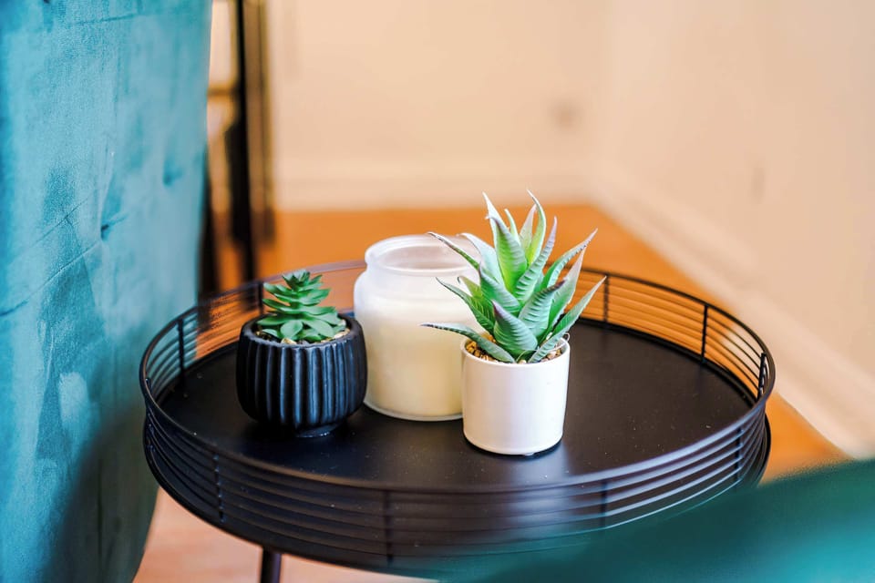 Chic Lounge: Stylish decor and greenery create a vibrant retreat in Greater Manchester!