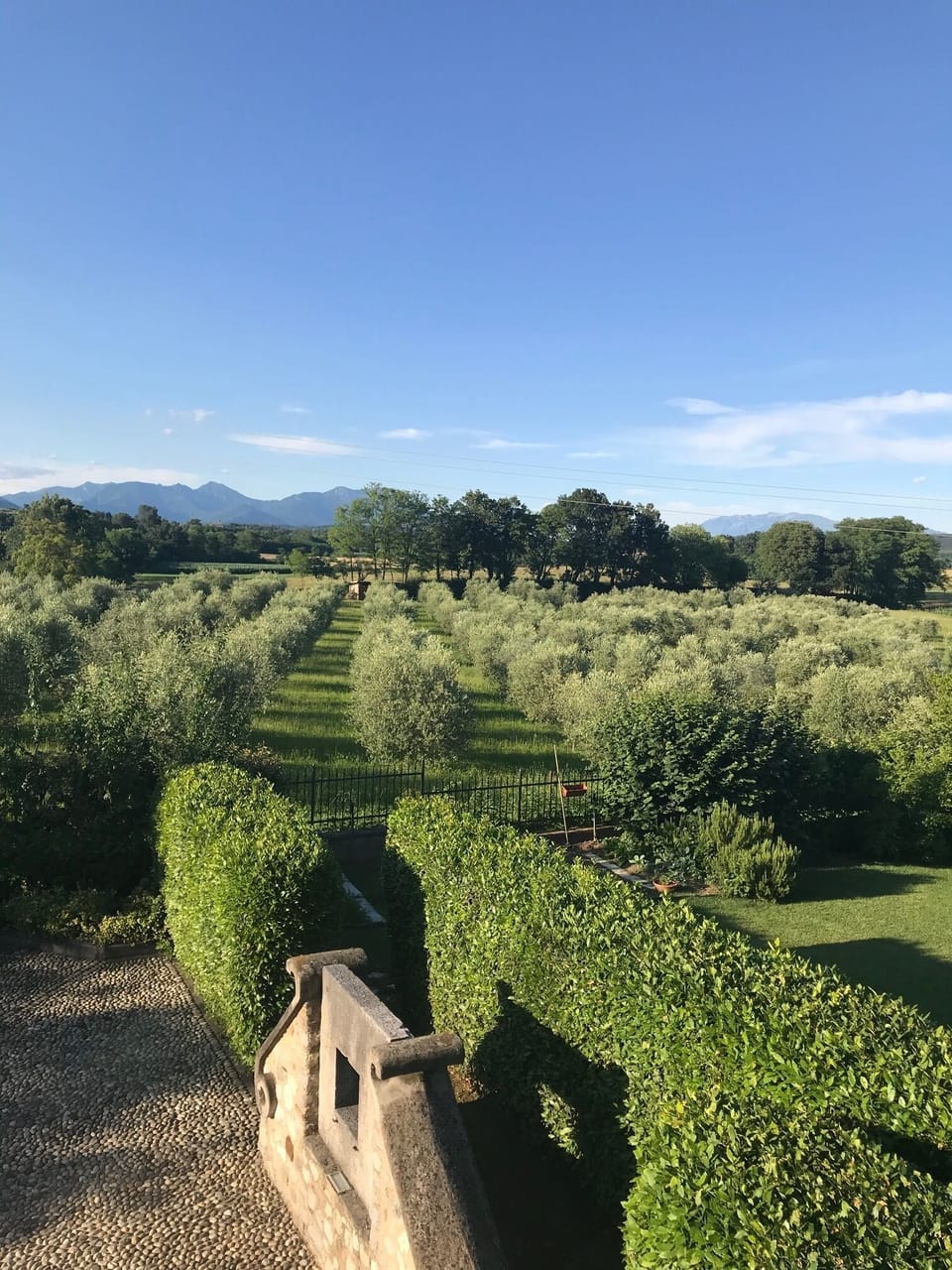 Twin Room, Multiple Beds | View from room