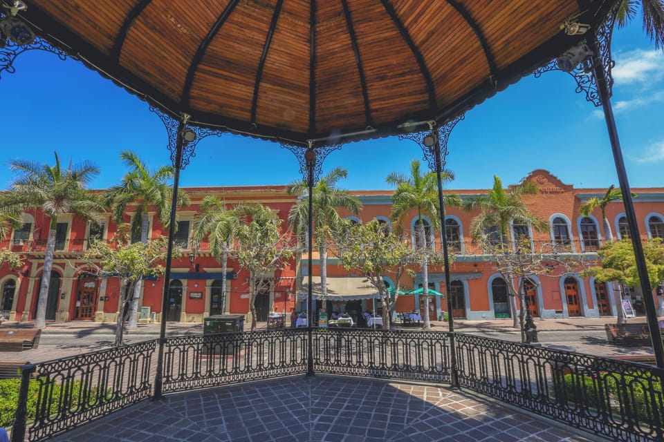 Stroll through a charming plaza framed by palms and shade.