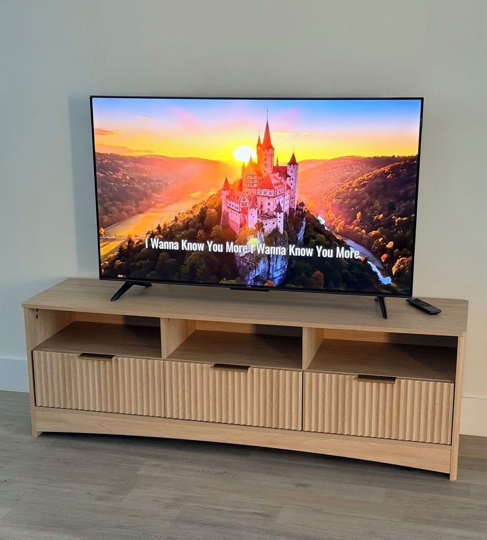Television