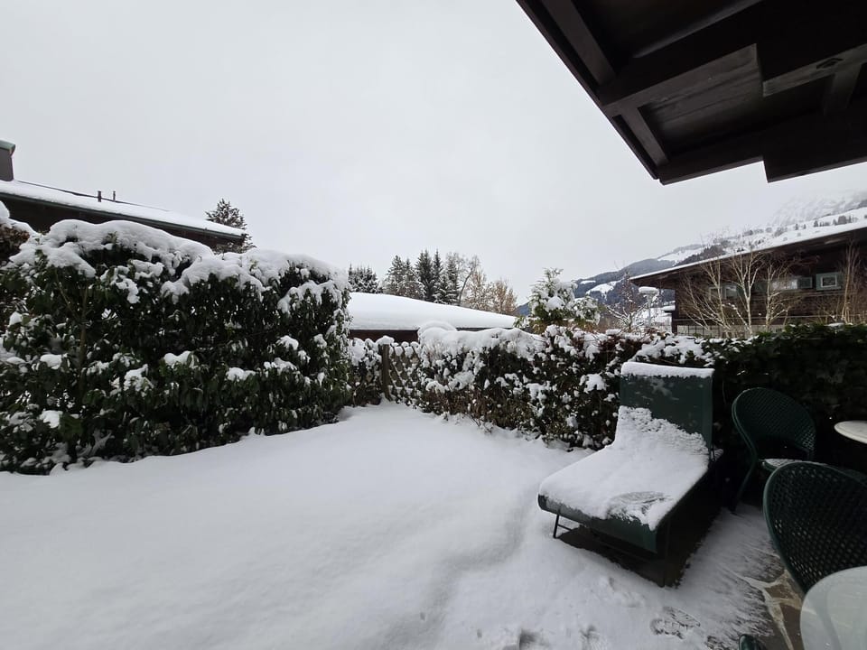 Garden [winter]