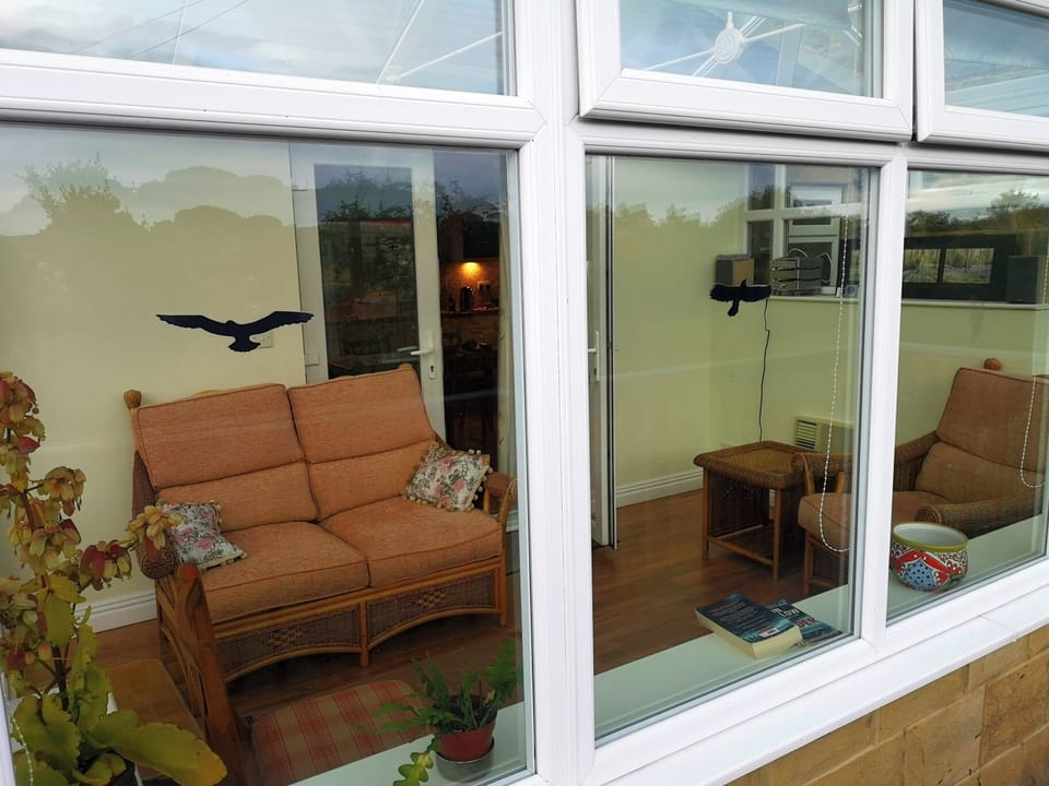 Conservatory, ideal summer evenings and bird watching