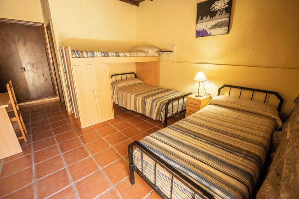 Basic Twin Room