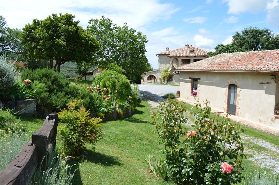 Autumn, Garden, Spring, Summer