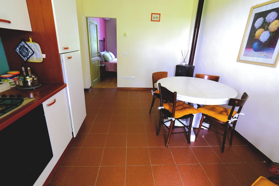 Classic Apartment, Balcony, Hill View | Dining
