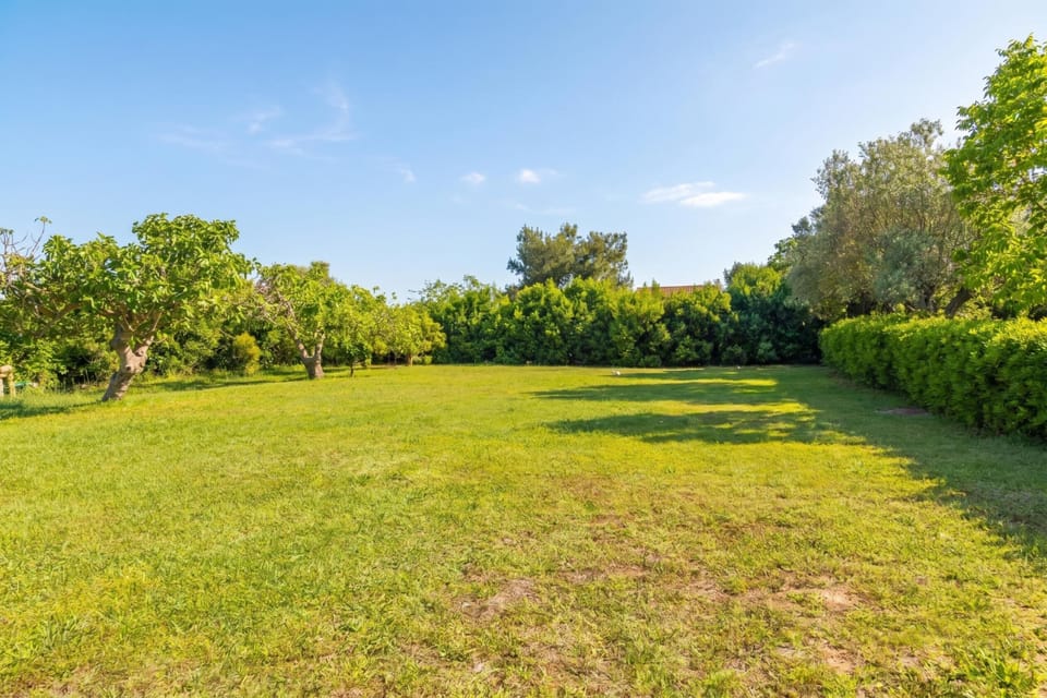 Standard House, Multiple Bedrooms, 2 Bathrooms (Dimora Patrizia) | Garden