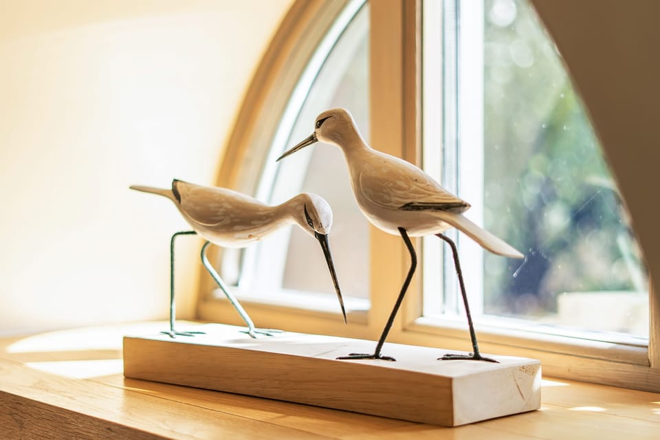 egrets