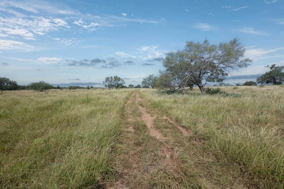 Sandy Ranch