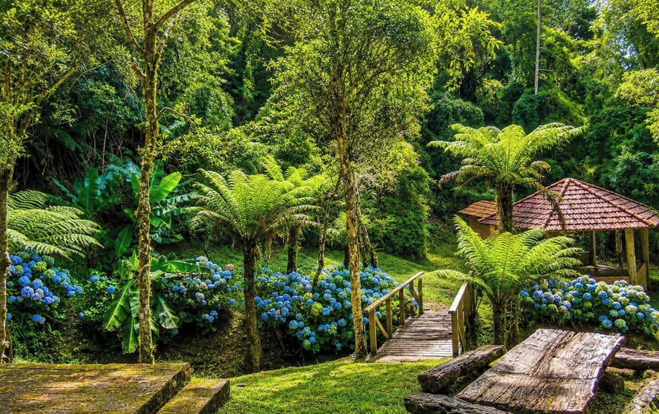 Linda Casa em Estilo Germânico em Rancho Queimado - SC  | Property grounds