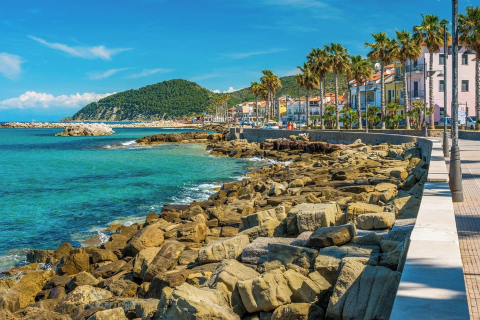 Miscellaneous
