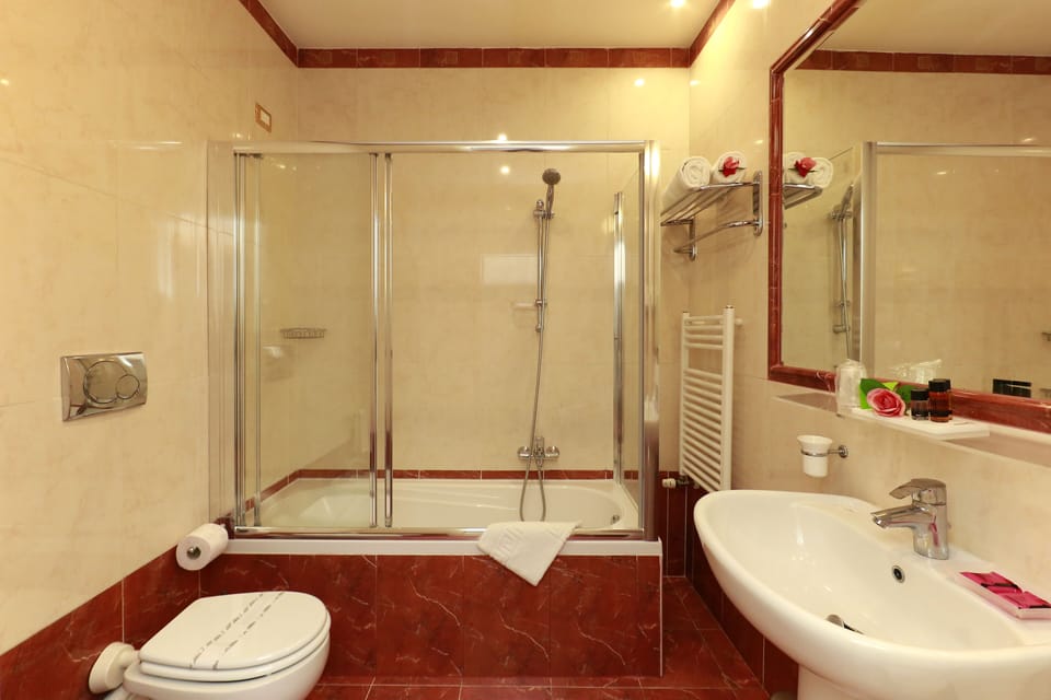 Standard Double or Twin Room | Bathroom | Free toiletries, hair dryer, bidet, towels