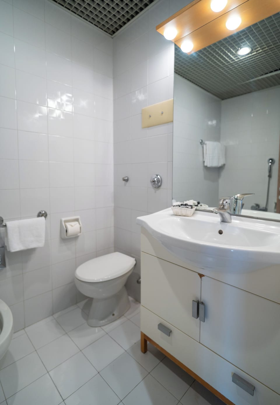 Rainfall showerhead, hair dryer, bidet, towels