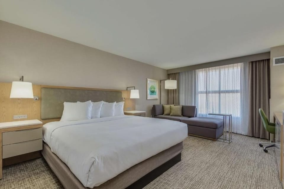 Unwind in a plush king bed with bright window light.