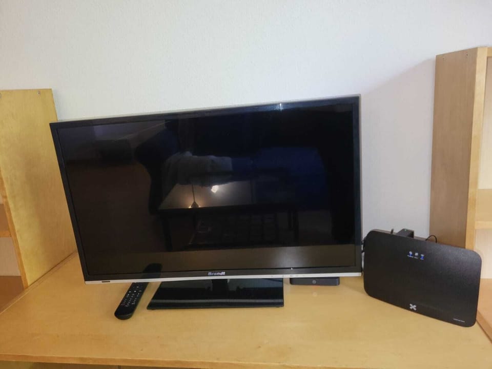 Television