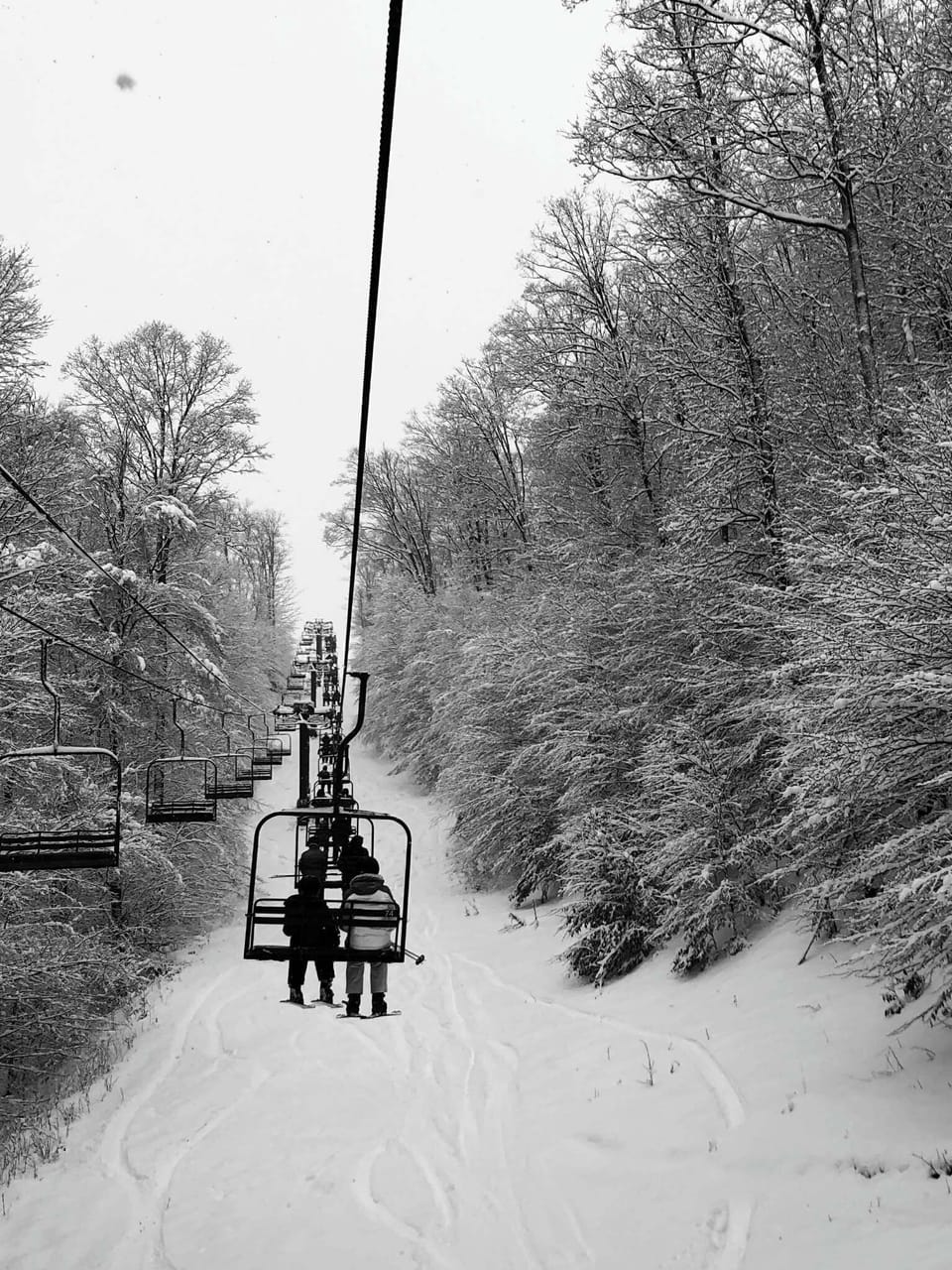 Snow and ski sports