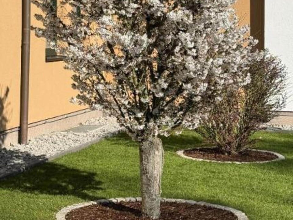Apartment | Garden