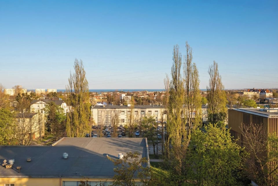 Another outdoor cityscape view featuring rooftops, trees, and clear blue sky. Tall trees stand prominently in the scene. The atmosphere feels peaceful and open.