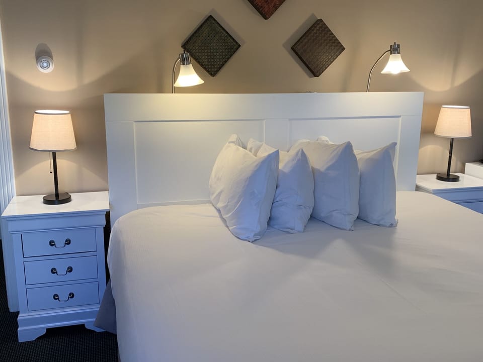 Room, 1 King Bed | Hypo-allergenic bedding available, down comforters, blackout drapes