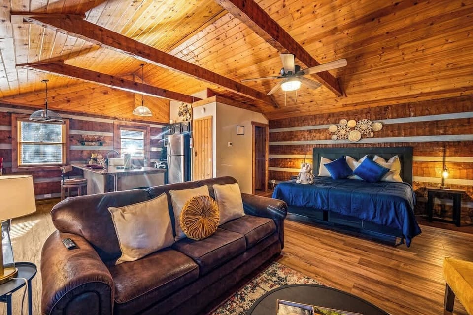 Open-concept cabin design where cooking, lounging, and relaxing blend seamlessly.