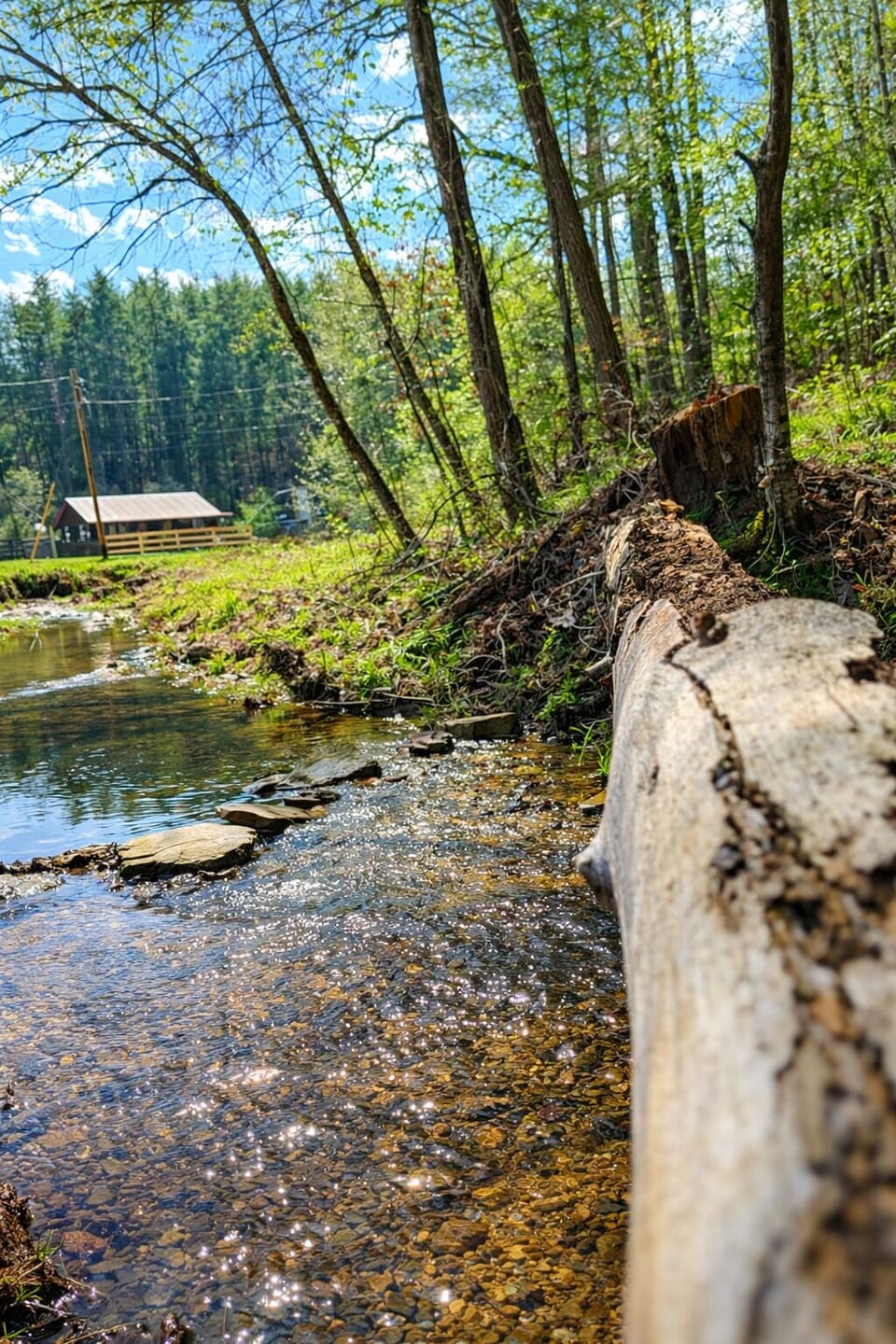 Sit with your morning coffee by the creek- also a big hit for the kids!