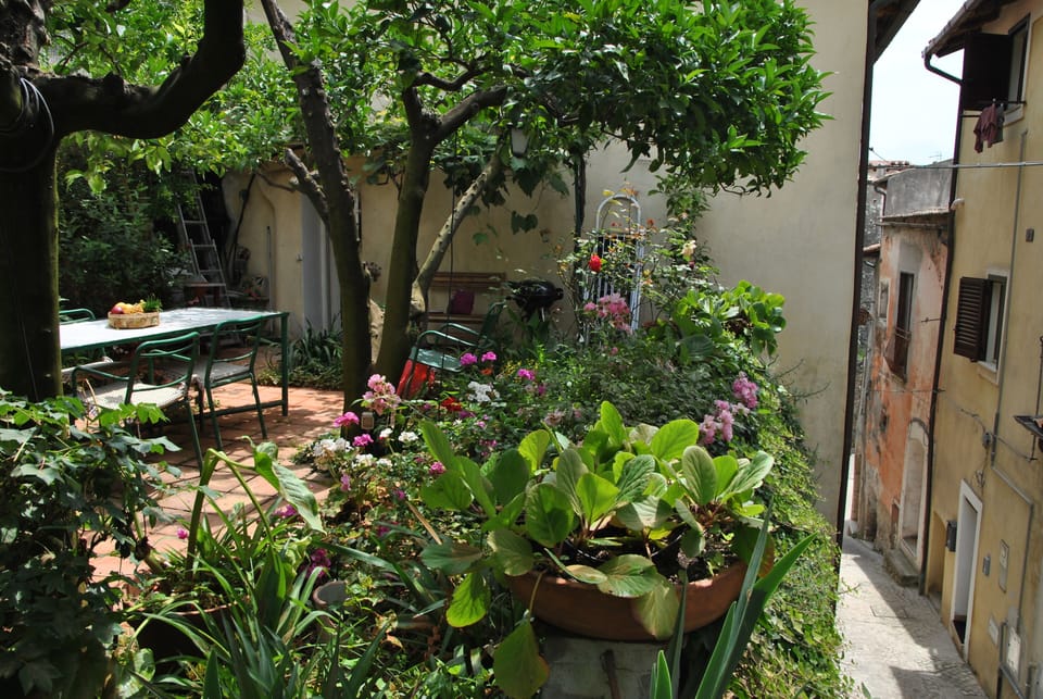 Garden