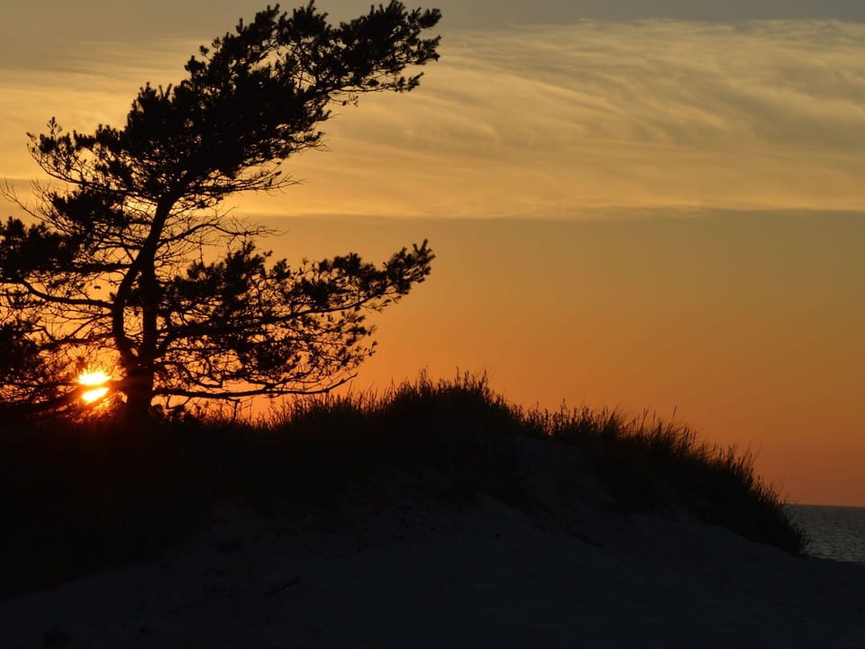 Cloud, Sky, Plant, Natural Landscape, Afterglow, Dusk, Tree, Atmospheric Phenomenon, Red Sky At Morning, Sunset