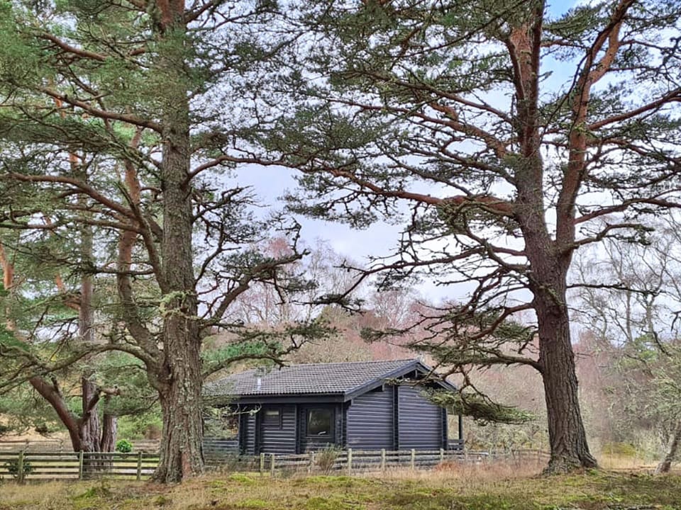 Exterior | Lochside Log Cabin, Brora