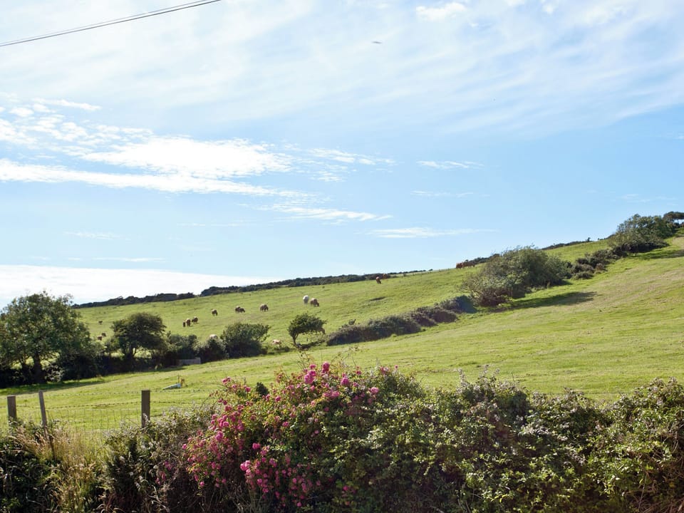 Surrounding area | Bunny Cottage, Newquay