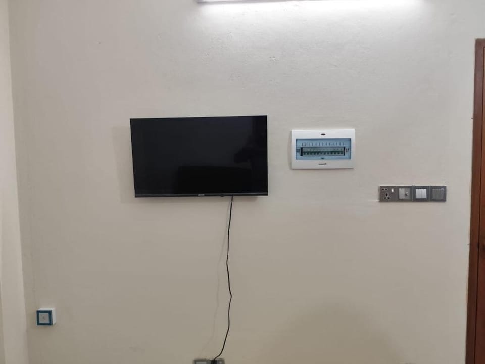 Television