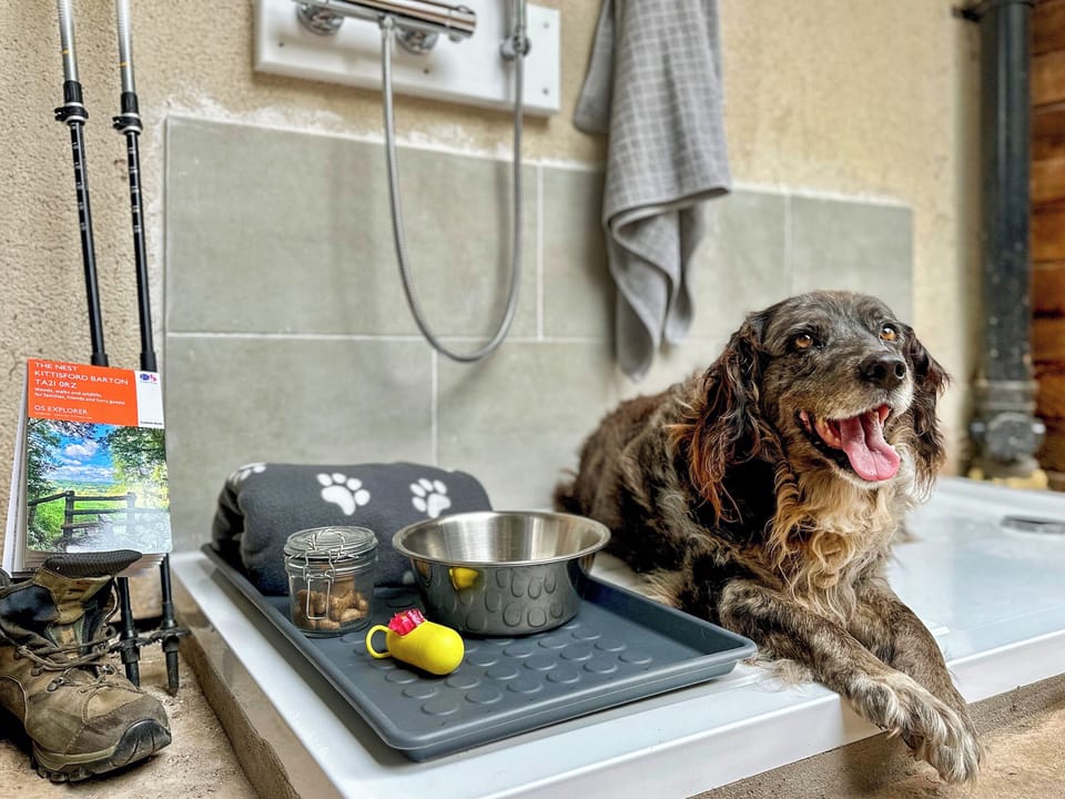 Dog shower | The Nest - The Cottage Beyond, Kittisford, near Wellington