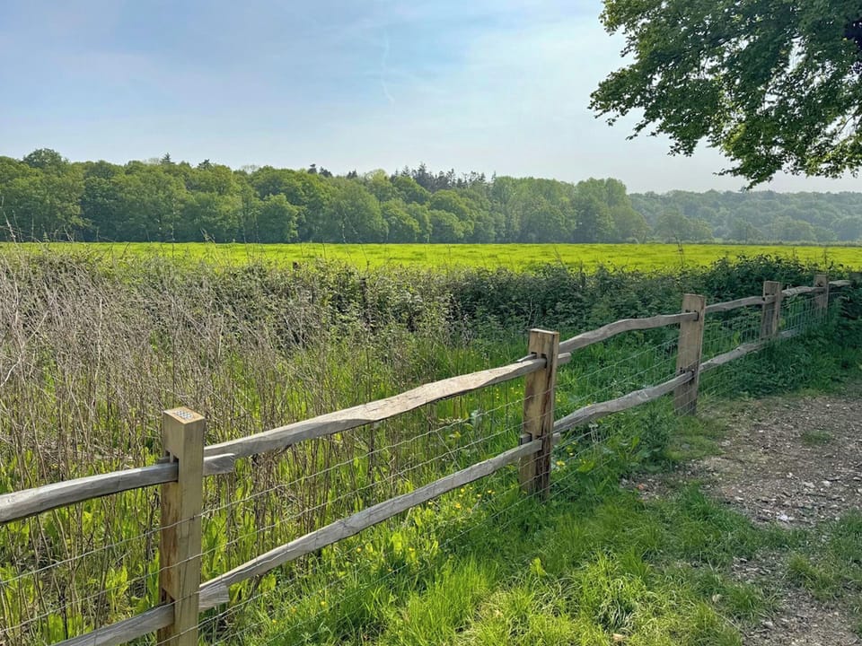 Outdoor | Fernhill Stables, Sevenoaks