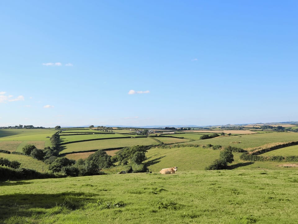 Surrounding area | Tuckenhay Mill - Bow Creek, between Dartmouth and Totnes