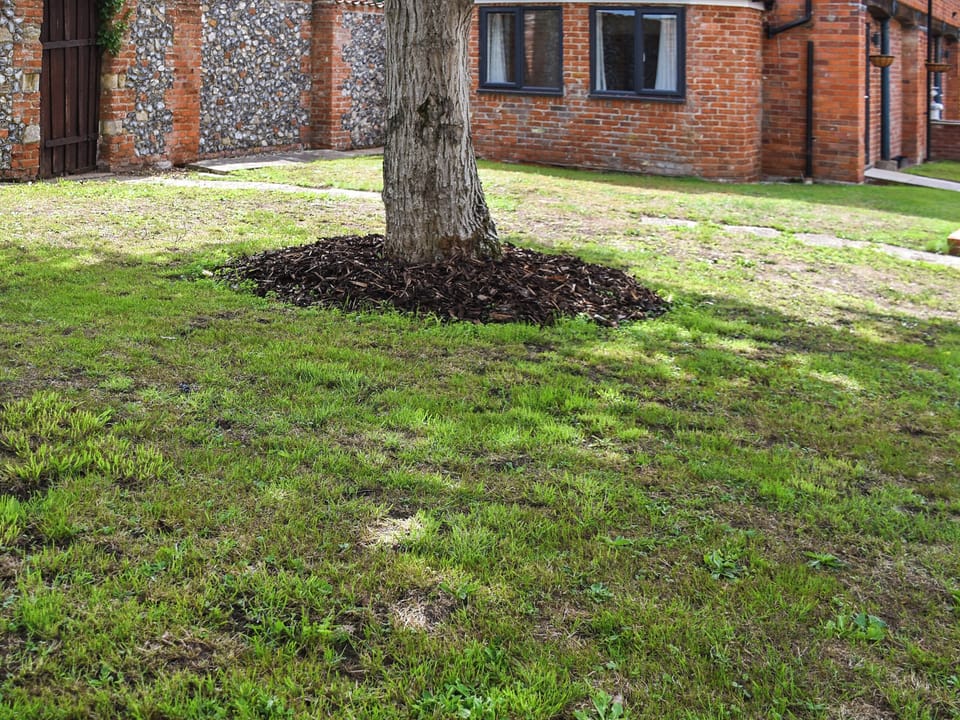 Outdoor | Sunflower Bungalow - Aiden Lodge, Little Dunham, near Kings Lynn